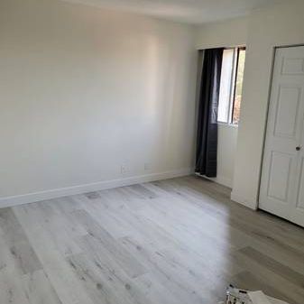 Newly Renovated 1Bed 1 Bath - Photo 1