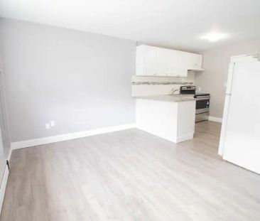1 Ormond Street North - 4 — Bachelor - Photo 1