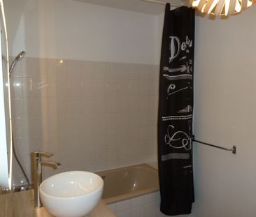 Location Appartement 1 pièce Meublé 28m² ANGERS 49100 - Photo 5