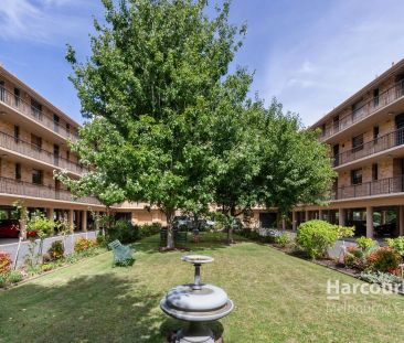 Fawkner Park Perfection: Rare Boulevard Opportunity! - Photo 5