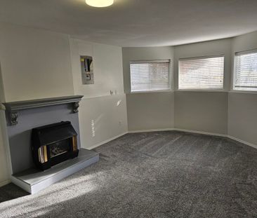 Spacious Basement Suite - Photo 5