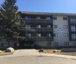 Totem II Apartments – 1 Bedroom - Photo 1