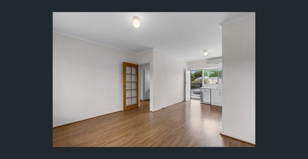 Light, Bright & Modern Low-Maintenance Unit Living - Photo 1