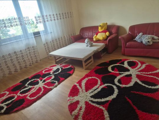 Casa individuala, de inchiriat, sat Romanesti - Fotografie 1