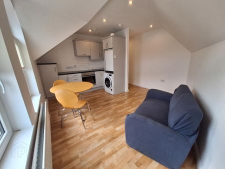 181 Lisburn Road APT 5, [tates Avenue], Belfast, BT9 7EJ - Photo 4