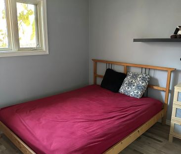 For Lease - 46 Elm Grove Avenue, Richmond Hill, Ontario - Photo 4