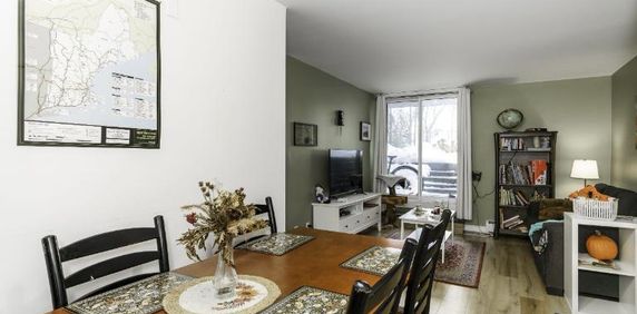 Appartement 4 ½ à louer Lévis février 2026 - Photo 2