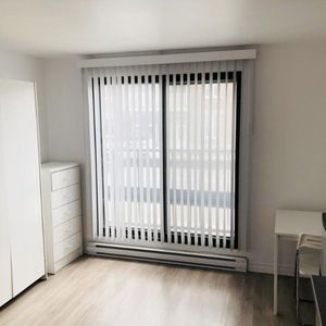 1 1/2 - Montréal (La Petite-Patrie) - 990 $/mois - Photo 2