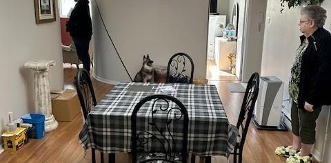 Logement 5 1/2 pour personne tranquille 55 ans et + St-Hyacinthe - appartement à louer - Photo 2