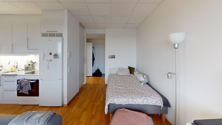 Grepgatan, Helsingborg - Photo 4