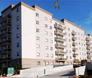 736 Old Albert Street #311 - Photo 6