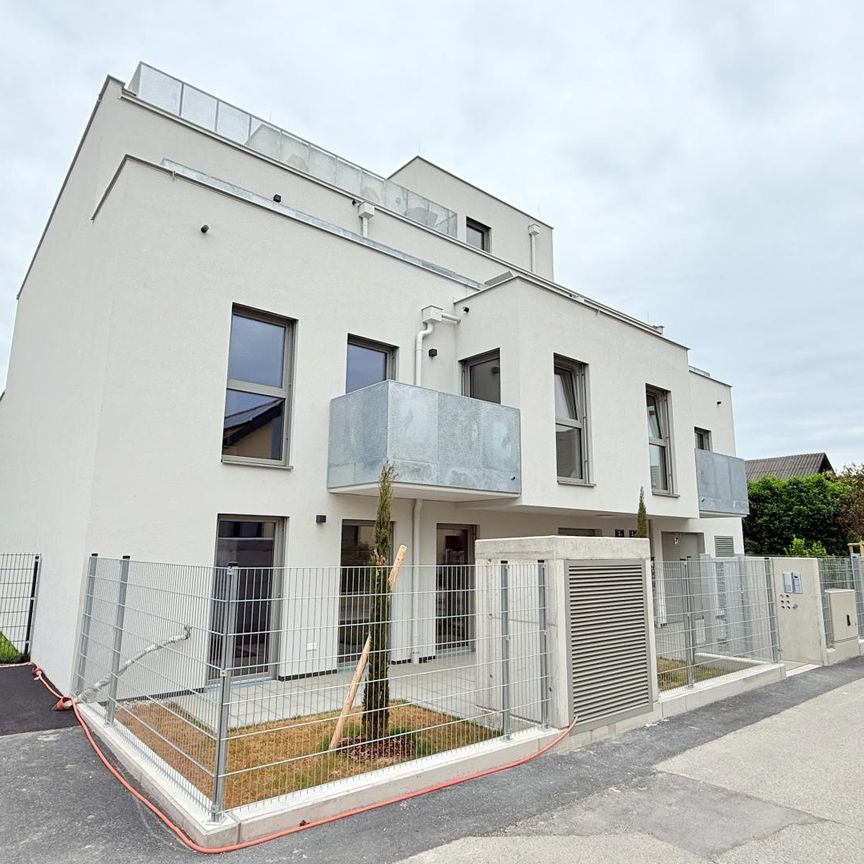 Sonnige Aussichten: 4 Zimmerwohnung mit Terrasse und Erstbezug! - Photo 1