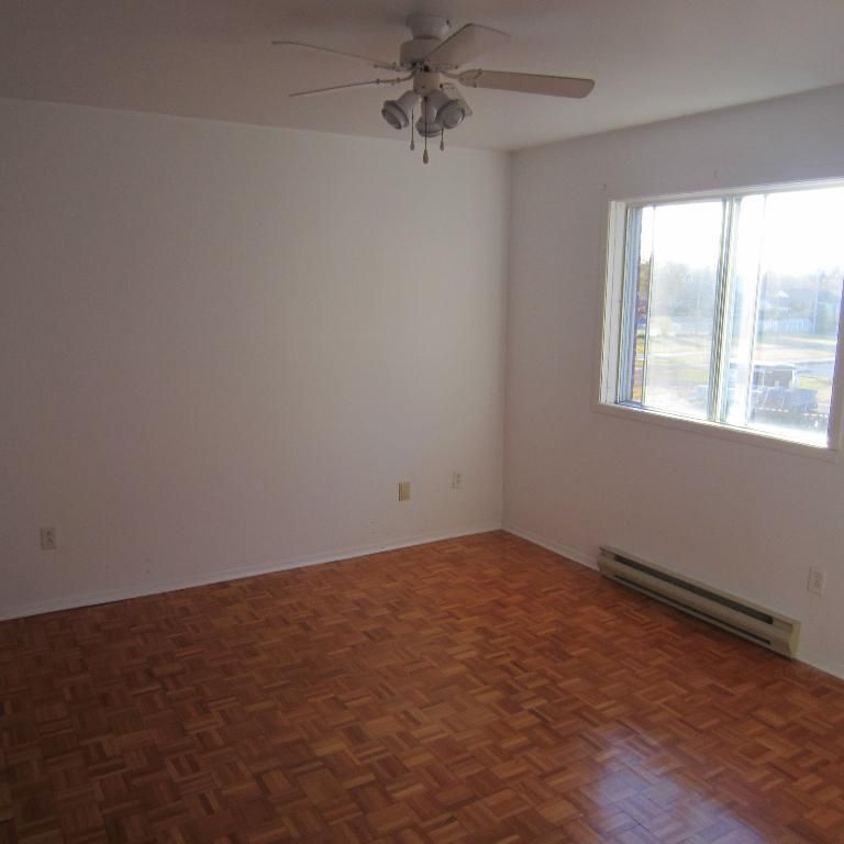 Beau 4 1/2 libre maintenant à Ste-Catherine (rive-sud de Mtl) - Photo 1