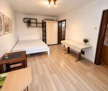 Apartament cu o cameră Bucovina - Fotografie 1
