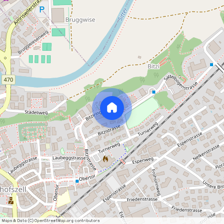 9220, Bischofszell, Bitziring, 6