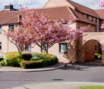 Standard Plus Room - Photo 3