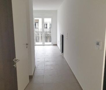 Location Appartement 1 pièce 24m² CASTELNAU LE LEZ 34170 - Photo 5
