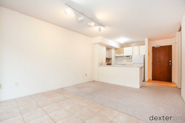 1330 Burrard St #213 - Photo 1