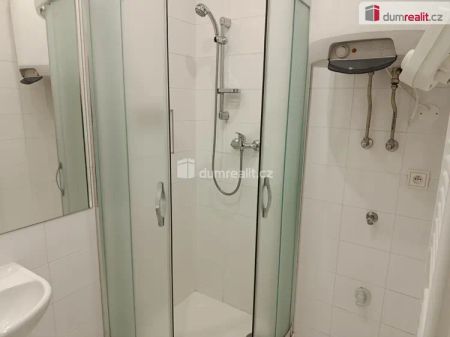 Velmi pěkný byt 1+kk po rekonstrukci, Praha 10 - Strašnice - Fotografie 4