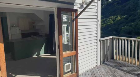 Mt Victoria views and privacy from your sunny deck - Photo 5