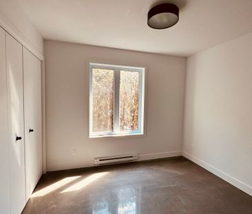 Appartement - 513 Rue St-Henri - Photo 1