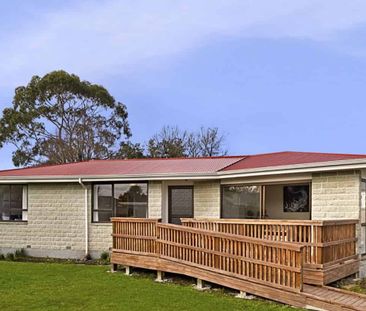 Spacious and Sunny Home - Photo 2