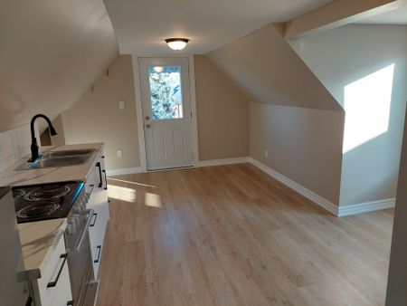 For Lease - 148 Gibson Avenue Unit# LOFT, Hamilton, Ontario - Photo 4