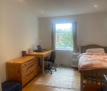 Room in a Shared Flat, Hove Park Gardens, BN3 - Photo 3
