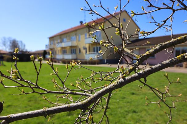 Åkaregatan, Hyllinge - Photo 1