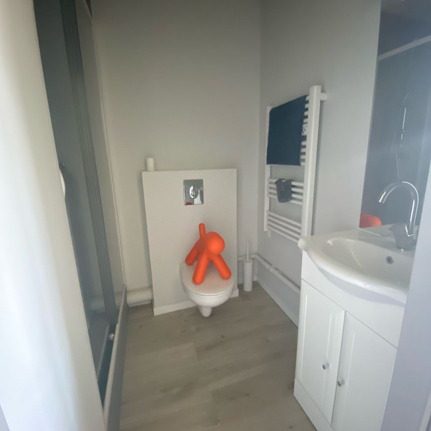 Studio Meublé Place de la Victoire – 25m2 - Photo 1