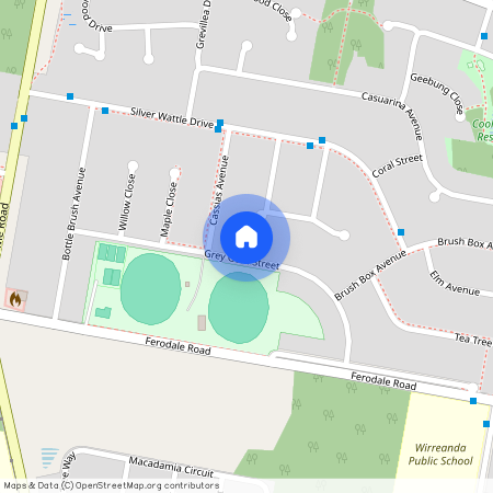 23A Grey Gum Street, NSW 2318, Medowie