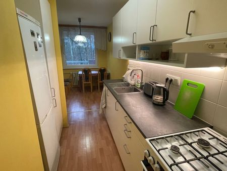 Pronájem bytu 3+1 • 14 m² bez realitkyHrudičkova, Praha - Chodov - Photo 4