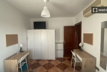 malaga, Andalusia 29006