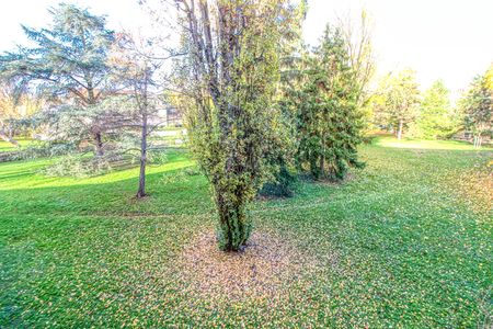 Location appartement 3 pièces, 57.00m², Antony - Photo 4