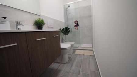 Corso Massimo dAzeglio, Turin, Piedmont 10126 - Photo 4