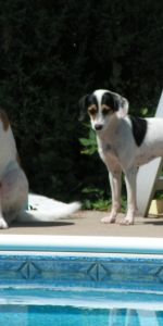 voice over artist - Photo 4