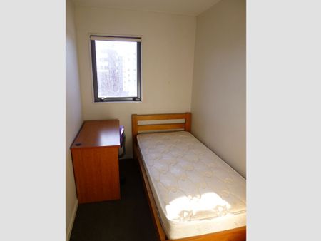 Single Bedroom to rent in Shared Apartment - Photo 2