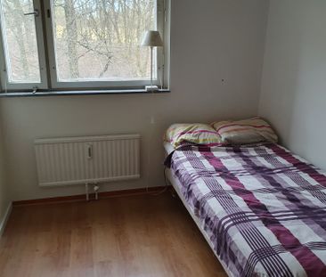 Prästgårdsängen, Göteborg - Foto 5