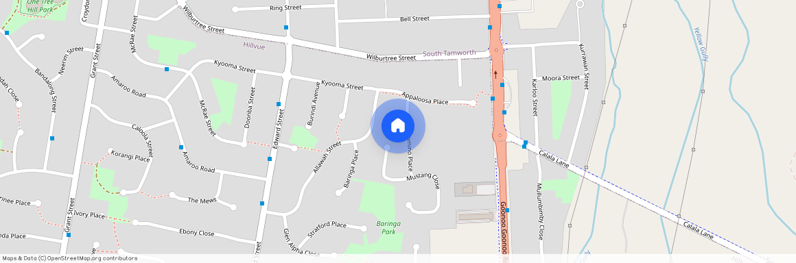 12 Palomino Place, NSW 2340, Tamworth