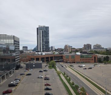 For Lease - 30 Francis Street Unit# 905, Kitchener, Ontario - Photo 5