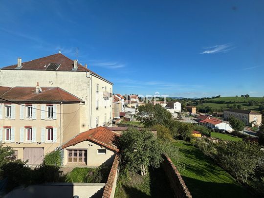 Appartement T3 Montagny à louer - Photo 1