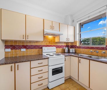 Freshly updated Top Floor Apartment Filled with Natural Light - Photo 4