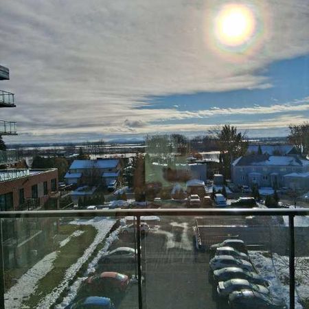 Appartement condo luxueux - Photo 4