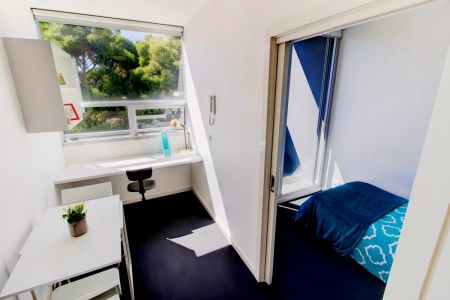 Standard 1 Bedroom - Photo 3