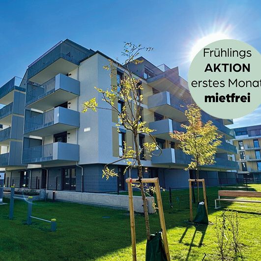 1 Monat Mietzinsfrei: Erstbezug im Grünen Nahe der U2 - zwischen Badeteich Hirschstetten & Seestadt - Photo 1