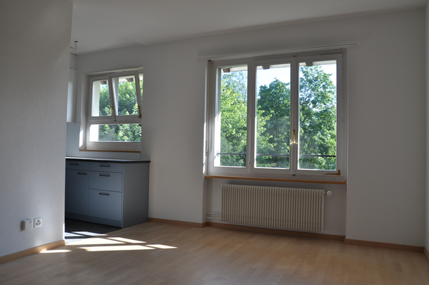 Stadtzentrum und Aare - beides in nächster Nähe - Photo 1