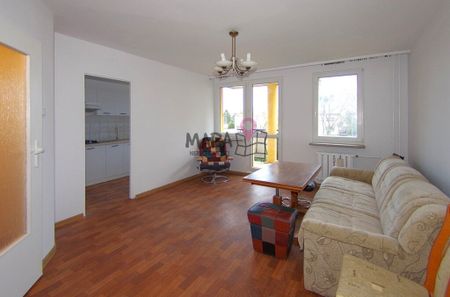 Wynajem, Gumieńce kawalerka z balkonem - Zdjęcie 3