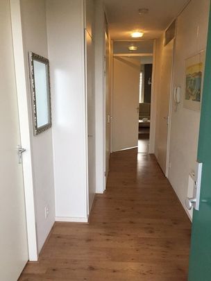 Te huur: Appartement Wulpstraat in Hellevoetsluis - Photo 1