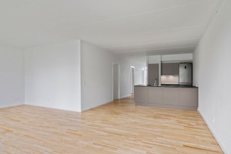 Velkommen til Store Grundet Alle! - Photo 2