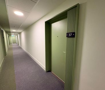 2 bedroom penthouse to rent - Photo 2